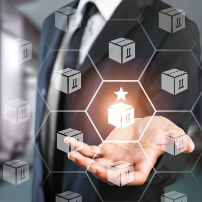 What Business Standard and Include Out of the Box
